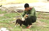 Những người bạn thủy chung của lính đảo ở Trường Sa